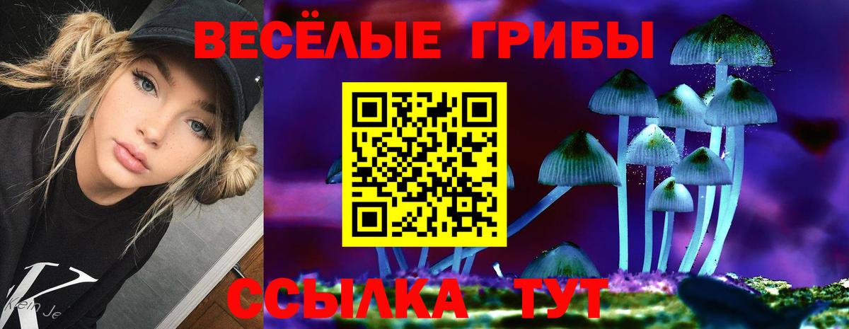 Псилоцибиновые грибы MAGIC MUSHROOMS Ульяновск